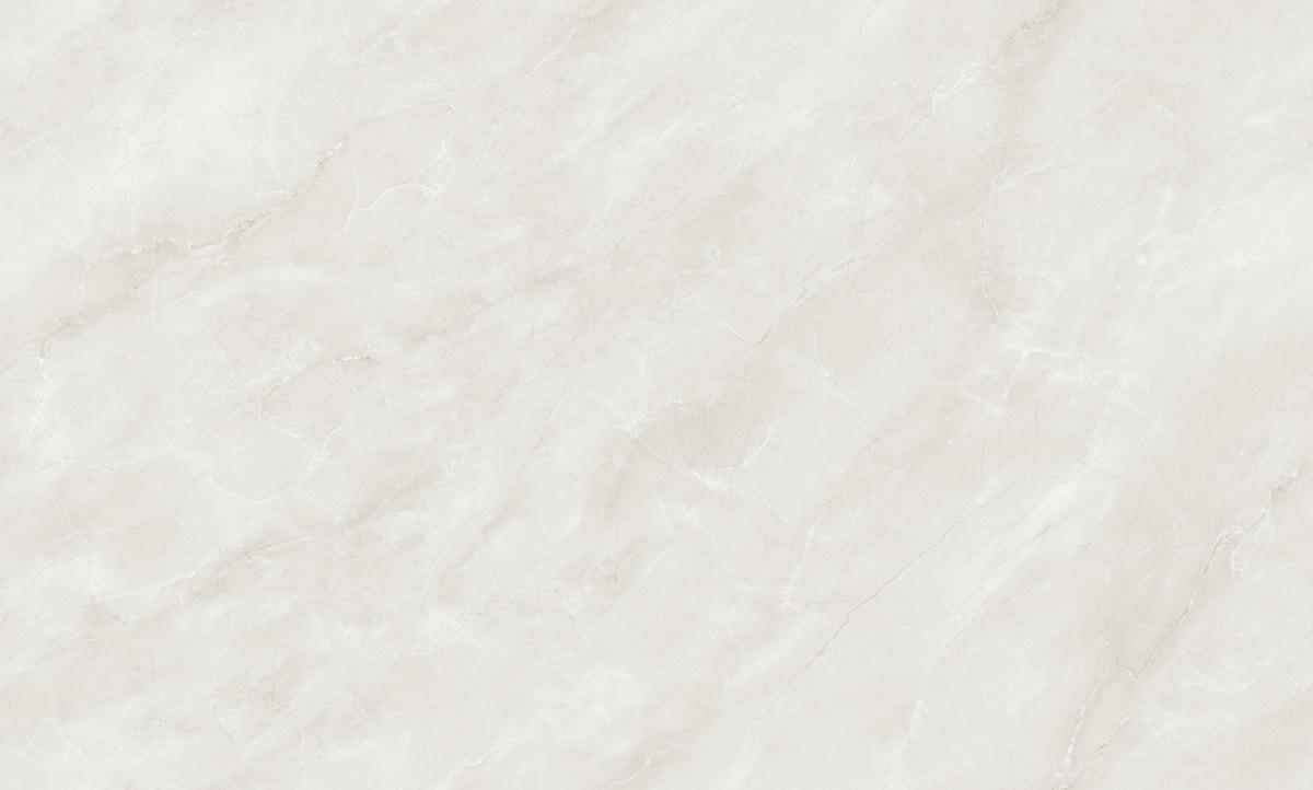 銀紋